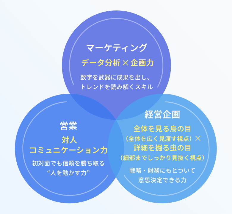 マーケティング/営業/経営企画